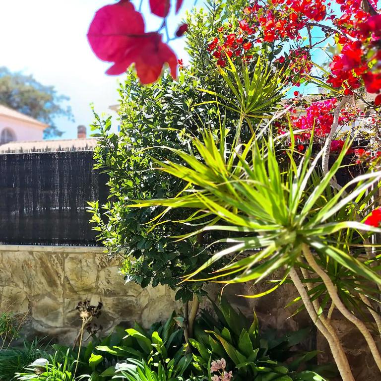 Oceanfront home Parking Wi-Fi AC Barbecue Garden - Three-Bedroom Townhouse - 38