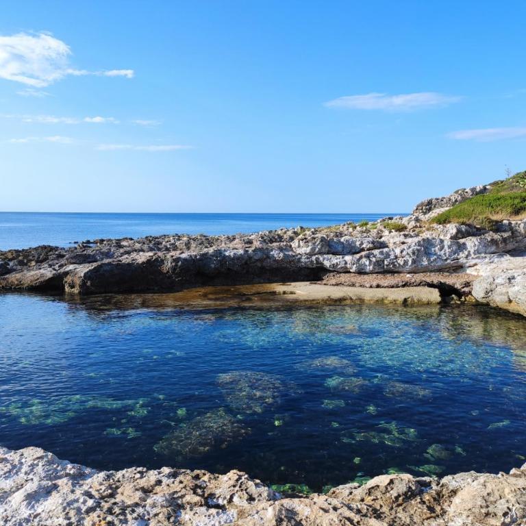Villa Zagara - Villa Fronte Spiaggia - 35