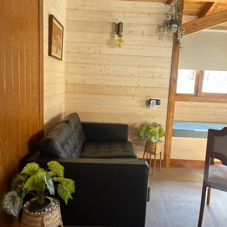 Luxury Rural Cuenca - Villas - Maison 2 Chambres - 22