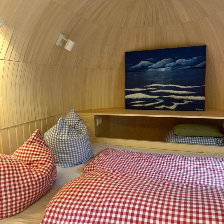 Igluhuts Passail - Ferienhaus mit 1 Schlafzimmer - 2