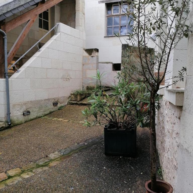 L'Atypique Saumurois - Appartement 2 Chambres - 17