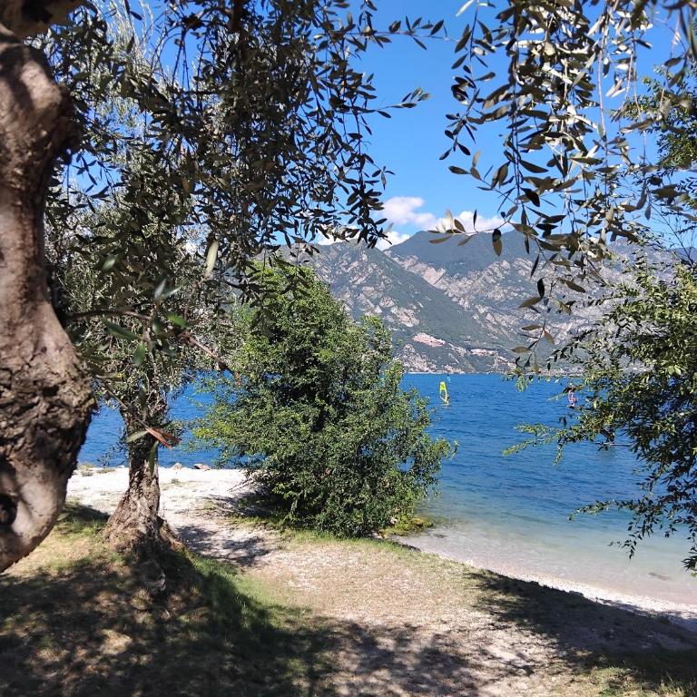 Panoramic Lake View & Garden Apartment - Appartamento con 1 Camera da Letto - 2