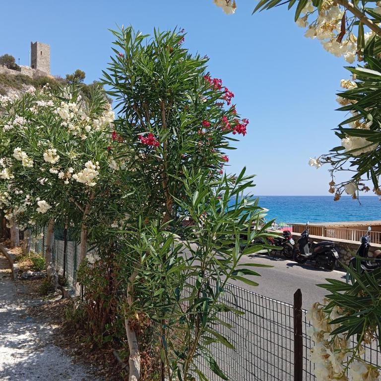 Orizzonte Blu Giardino sul Mare Finale Ligure - One-Bedroom Apartment - 23