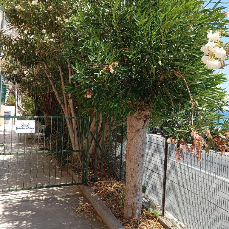 Orizzonte Blu Giardino sul Mare Finale Ligure - One-Bedroom Apartment - 25