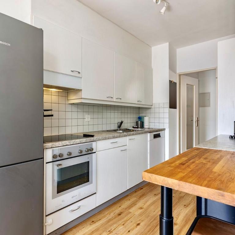 Large Terrace, 2-Bedroom Apartment in Geneva - Appartement 2 Chambres - 18
