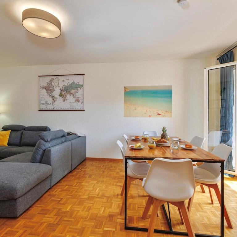 Large Terrace, 2-Bedroom Apartment in Geneva - Appartement 2 Chambres - 31