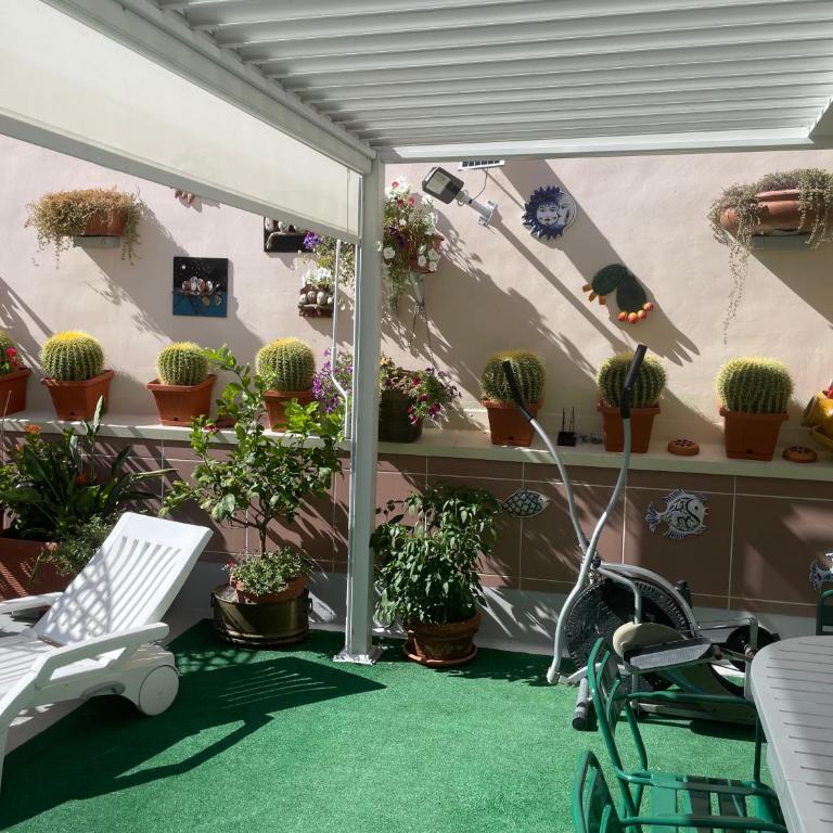 B&B Imagine - Camera Matrimoniale con Terrazza - 6