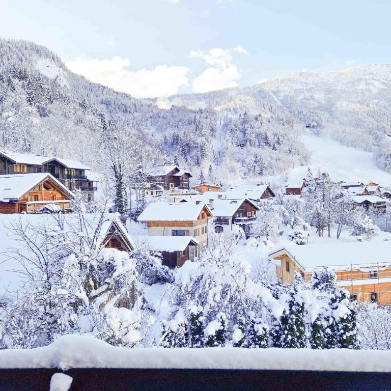 Apartment with balconies at the foot of the slopes - Appartement - 15