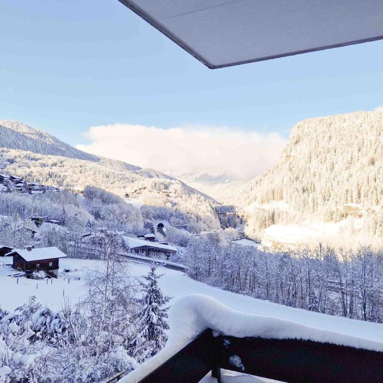 Apartment with balconies at the foot of the slopes - Appartement - 16