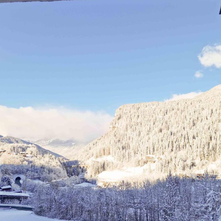 Apartment with balconies at the foot of the slopes - Appartement - 18