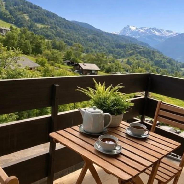Apartment with balconies at the foot of the slopes - Appartement - 20