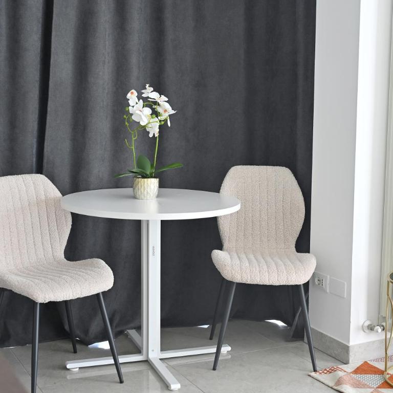 Business Apt - One-Bedroom Apartment - 1