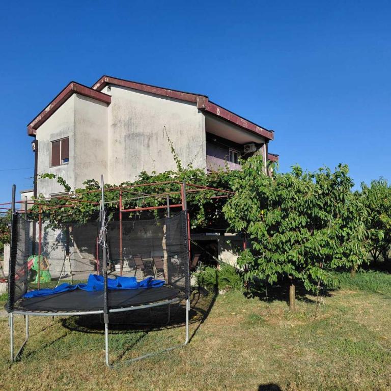Kiwi house - Apartment mit 2 Schlafzimmern - 23