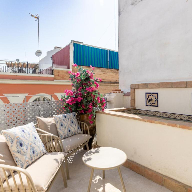 Santas Patronas Olehousing - Estudio con terraza - 1