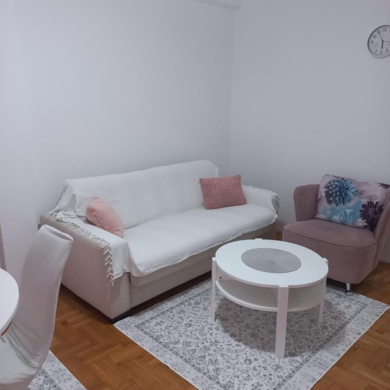 Irena Veliki park, 43m2, centar Kragujevca - Apartman sa 1 Spavaćom Sobom - 16
