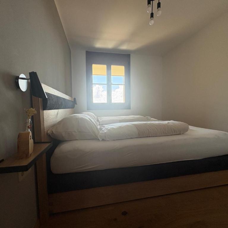 Luxescape-Traumaussicht-Wandergebiet-Paragleiten-Mountainbiken-Erlebnis CARD - Apartment mit 1 Schlafzimmer und Aussicht - 30