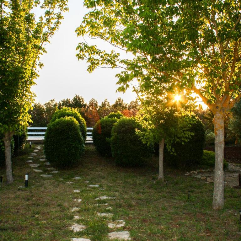 EnjoyTrulli Valle D Itria - Three-Bedroom House - 18