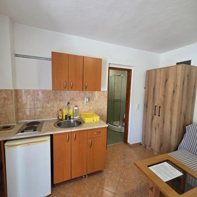 Apartmani Nikmil Bar- Šusanj - Studio with Mountain View - 1