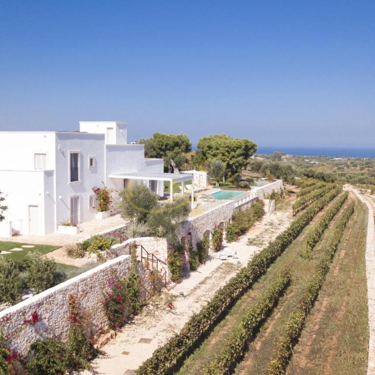 TD Tenuta Donna Madia Sea View Pool Over Vineyard - Villa - 2