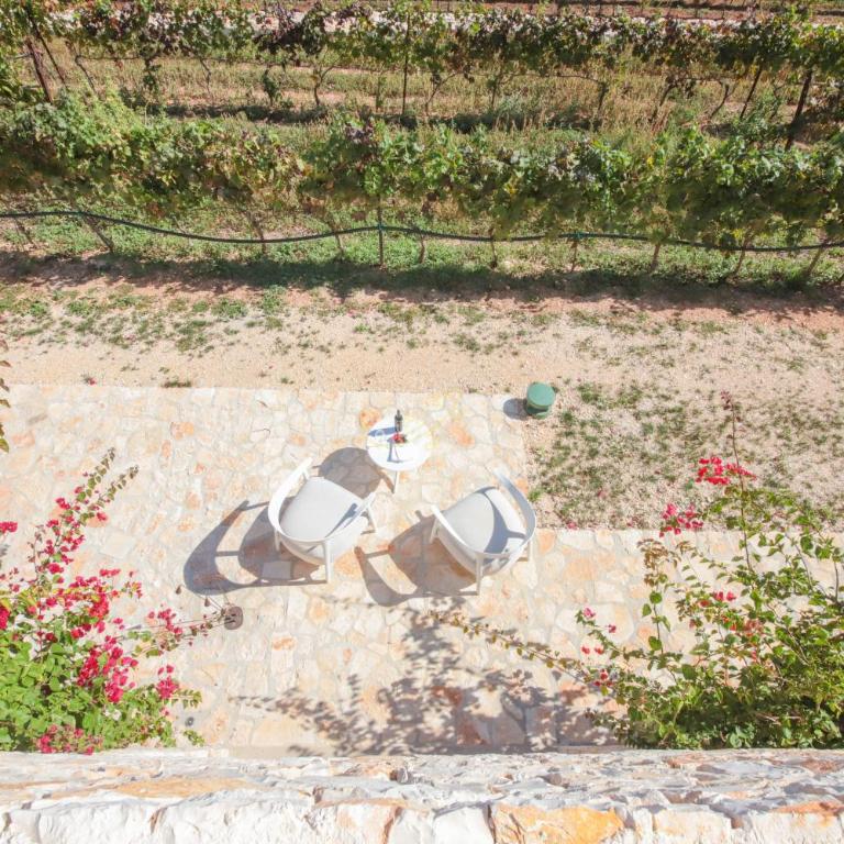 TD Tenuta Donna Madia Sea View Pool Over Vineyard - Villa - 47