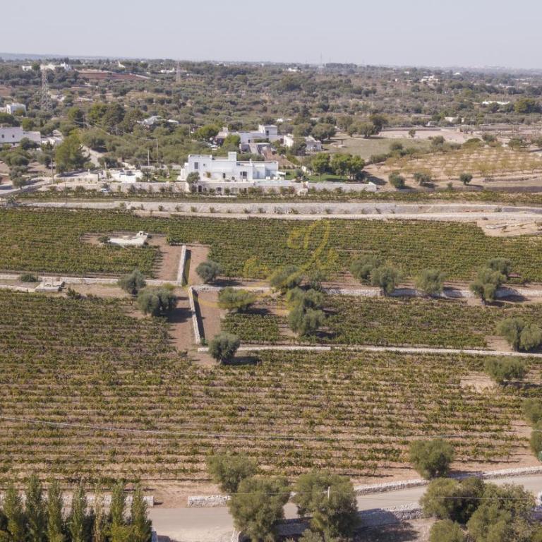 TD Tenuta Donna Madia Sea View Pool Over Vineyard - Villa - 48