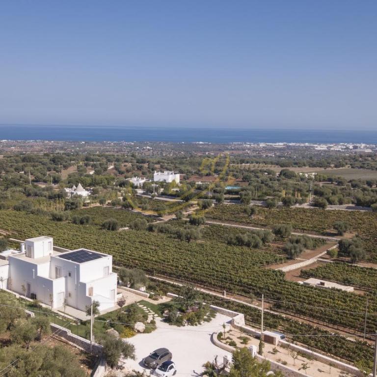 TD Tenuta Donna Madia Sea View Pool Over Vineyard - Villa - 56