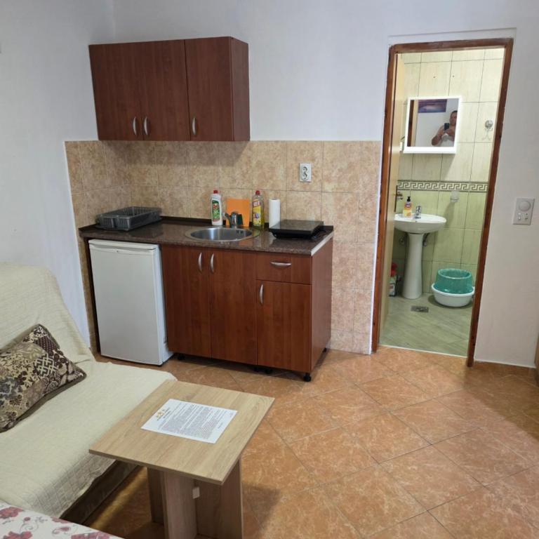 Apartmani Nikmil Bar- Šusanj - Studio with Mountain View - 3