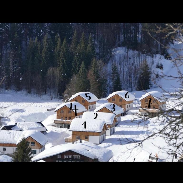 Hideaway Chalets Loser - 1 by AA Holiday Homes - Chalet - 36