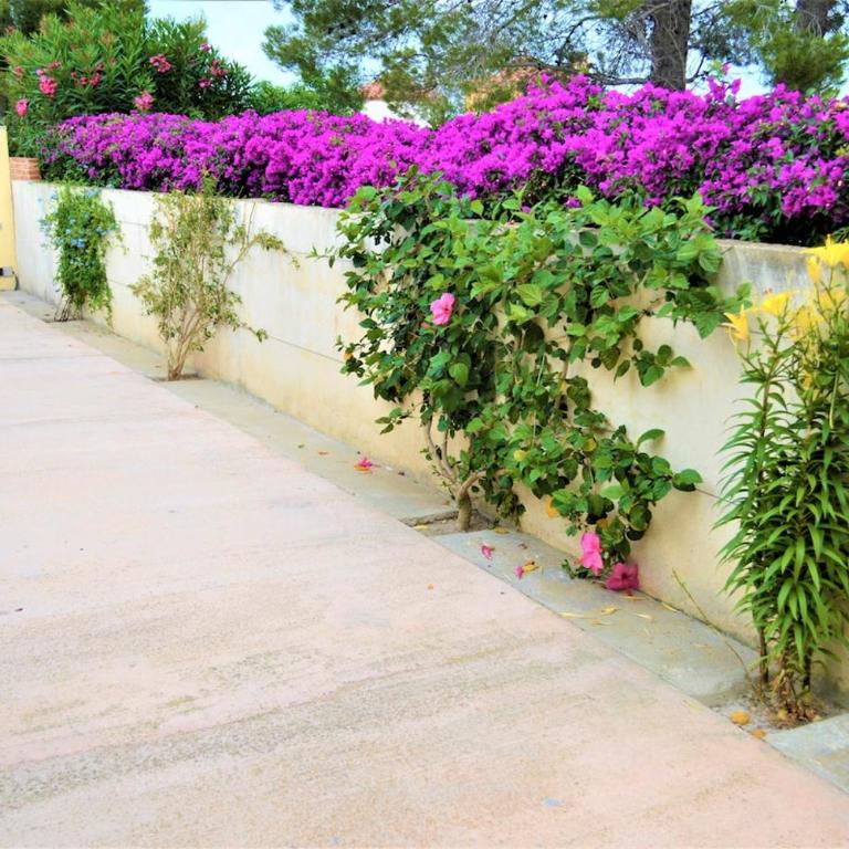 Villa Cardona Tres Calas alquiler turístico - Casa de 4 dormitorios - 37