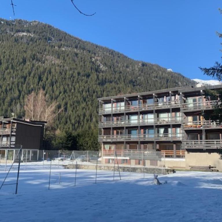Appartement lumineux avec piscine à Chamonix - Appartement - 10