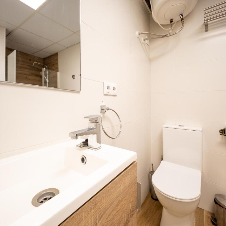 Geysotur Sandoval Centro - Appartement - 7