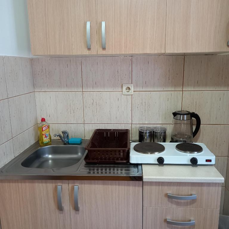 Apartmani Aleksijević Zlatibor - Studio Familial - 17