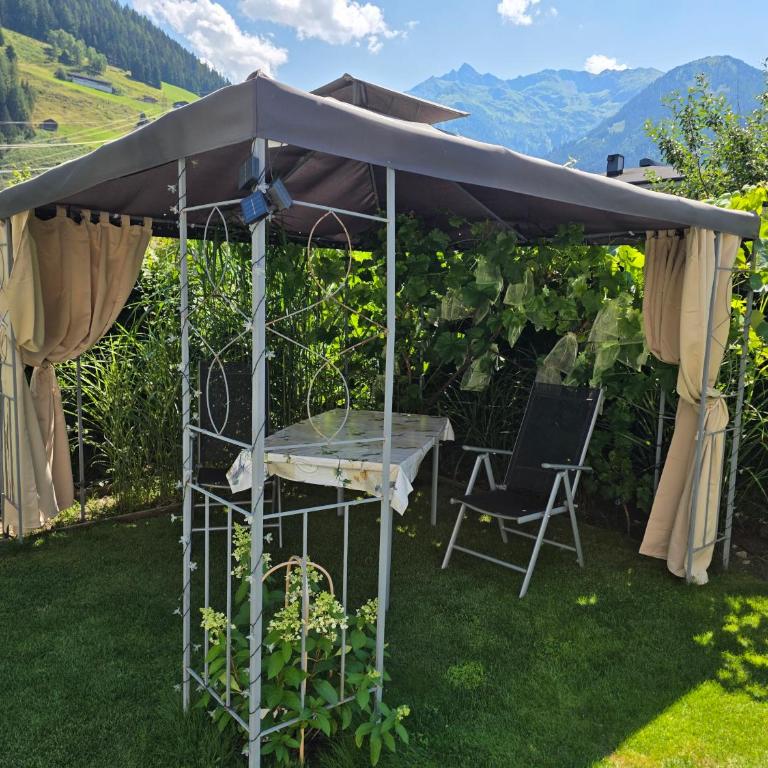 Golf & Ski Appartements Mittersill Trausmuth Monika inkl Sommercard - Golfplatz 500 m entfernt, inkl Waschmaschine, Trockner - Apartment - 3
