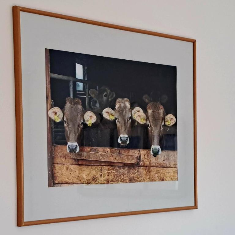 Eichkobel-Blick - Apartment mit 2 Schlafzimmern - 8