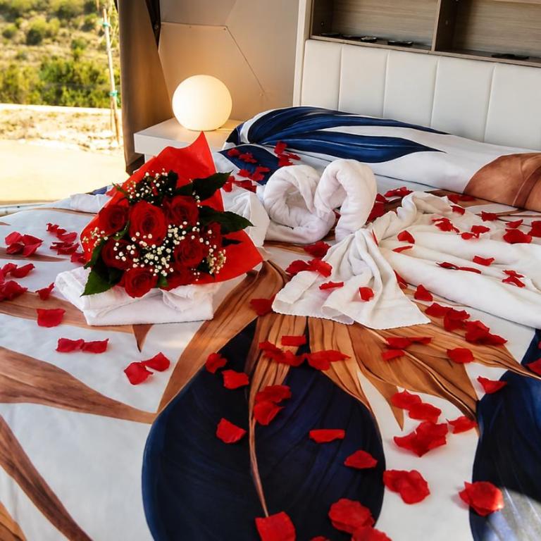 Palmaria Sky Bubbles Room - Tenda - 82