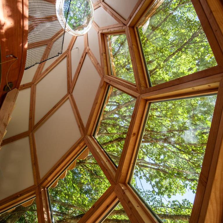 La Pomme de Pin Perchée, cabane romantique pour 2 - Appartement avec Douche - 35