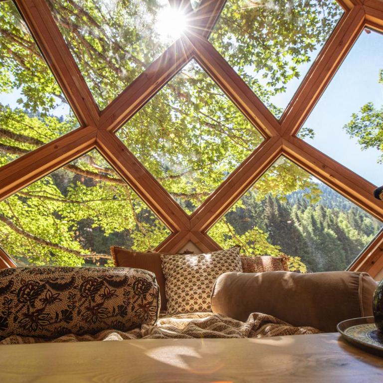 La Pomme de Pin Perchée, cabane romantique pour 2 - Appartement avec Douche - 7