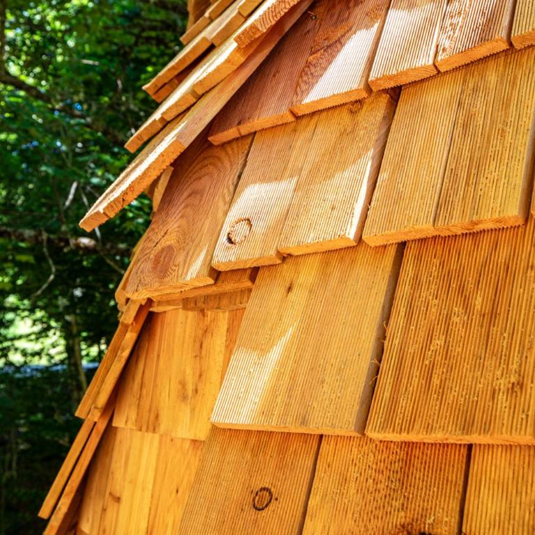 La Pomme de Pin Perchée, cabane romantique pour 2 - Appartement avec Douche - 67