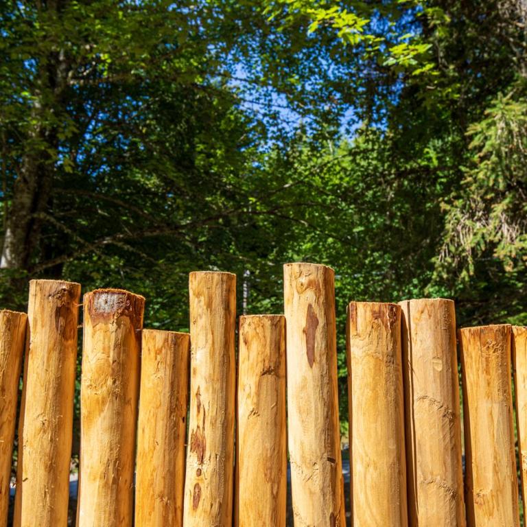 La Pomme de Pin Perchée, cabane romantique pour 2 - Appartement avec Douche - 69