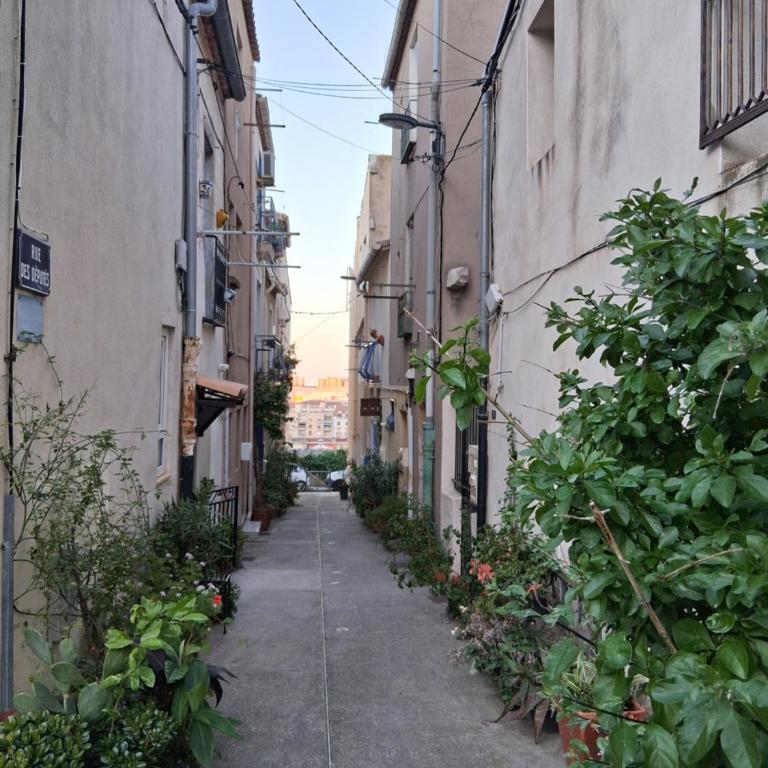 Studio Quartier haut - Studio - 2