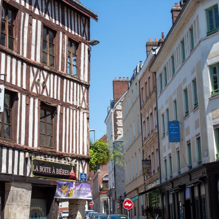 Cocon Calme Centre de Rouen - One-Bedroom Apartment - 17