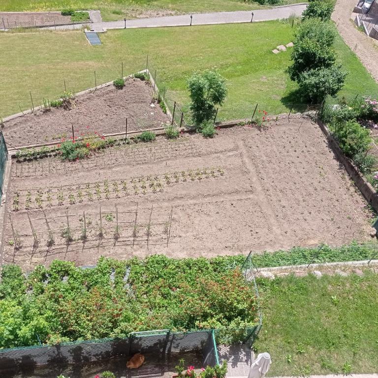 Varesco Appartamenti - Apartamento con balcón - 25