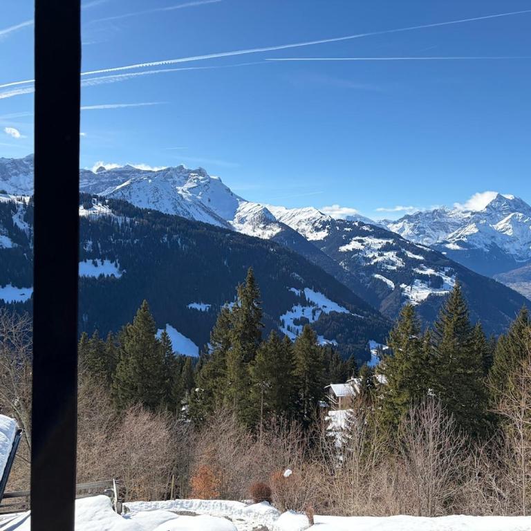 Beautiful chalet with exceptional views, ski-to-door, very quiet - Chalet - 33