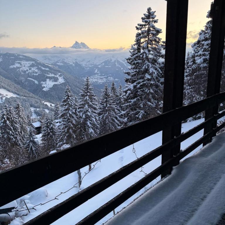 Beautiful chalet with exceptional views, ski-to-door, very quiet - Chalet - 1