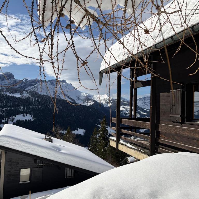 Beautiful chalet with exceptional views, ski-to-door, very quiet - Chalet - 4