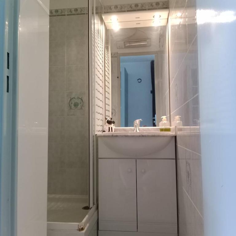 Appartement sur les Hauteurs de Barcelonnette - Appartement 1 Chambre - 13