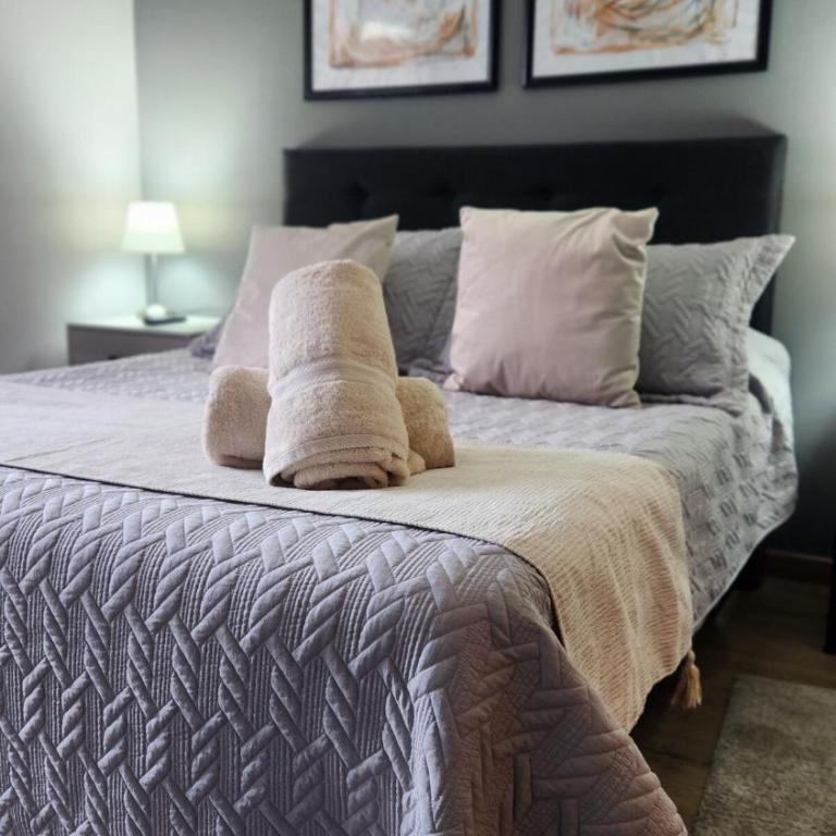 Elegante depto Santiago Centro Club Hípico - Superior One-Bedroom Apartment - 6