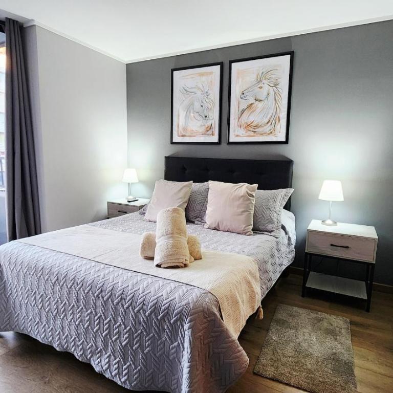 Elegante depto Santiago Centro Club Hípico - Superior One-Bedroom Apartment - 16