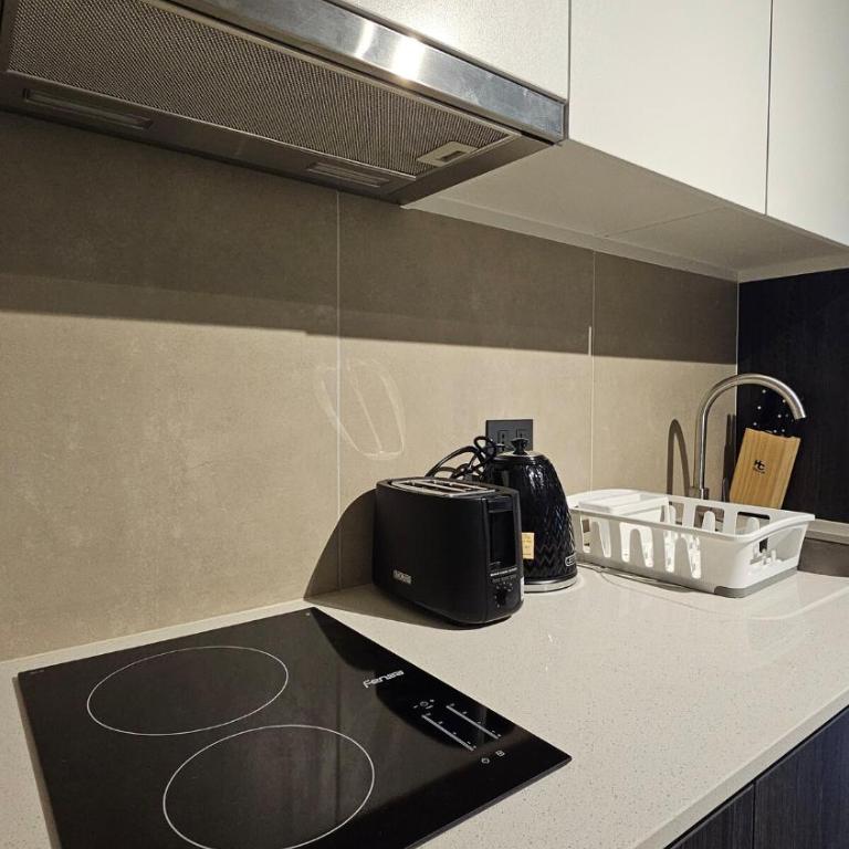Elegante depto Santiago Centro Club Hípico - Superior One-Bedroom Apartment - 19