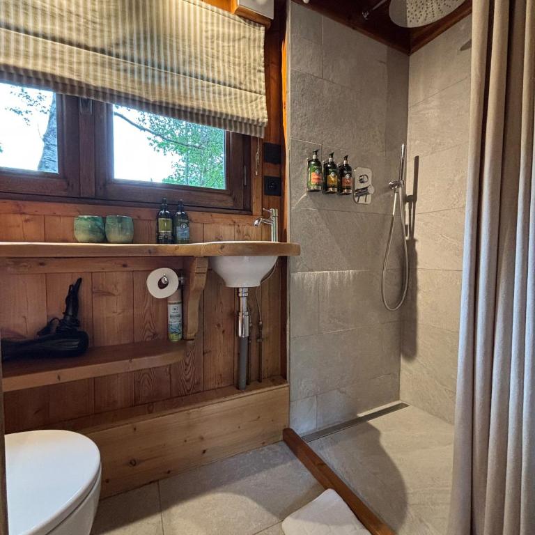 Mazot les Tines - Chalet - 22